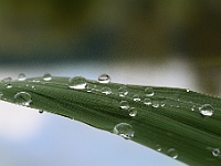 85A7135-Bearbeitet-Bearbeitet-Bearbeitet