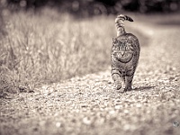 85A8705-Bearbeitet-Bearbeitet-Bearbeitet-2-2