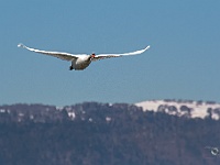 A2A4091-Bearbeitet-Bearbeitet